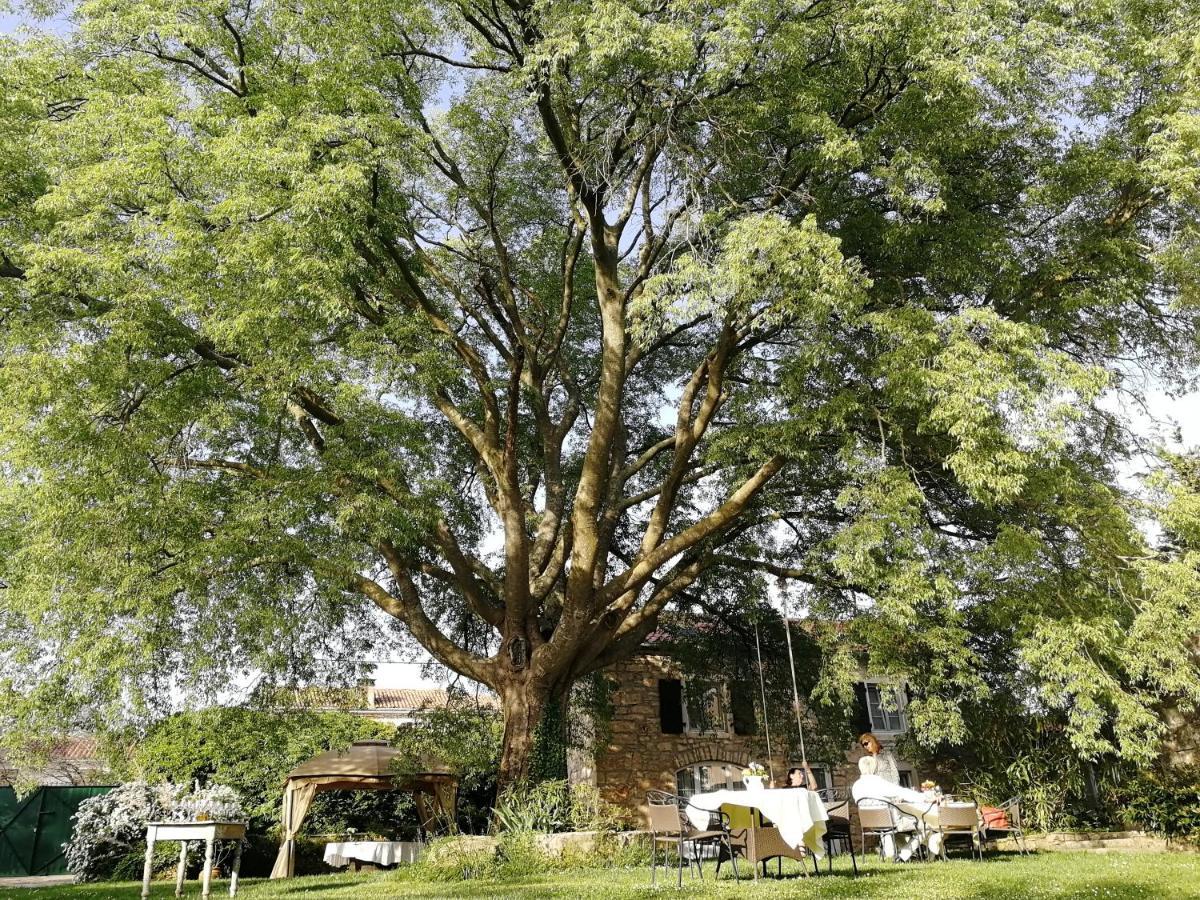 Boutique B&B Stancija 1904 Adults Only Svetvinčenat Zewnętrze zdjęcie